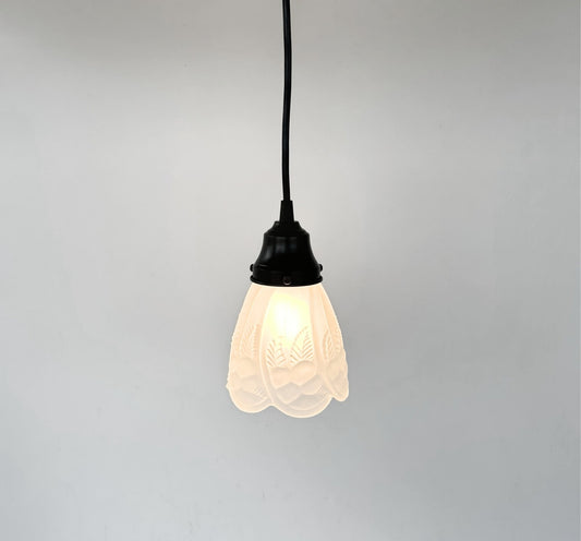 Frosted Embossed Fruit and Leaf Sconce or Pendant