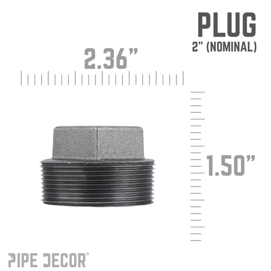 2 in. Black Plug