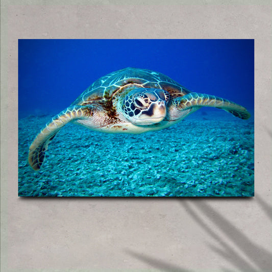 Green Sea Turtle Canvas Wall Art