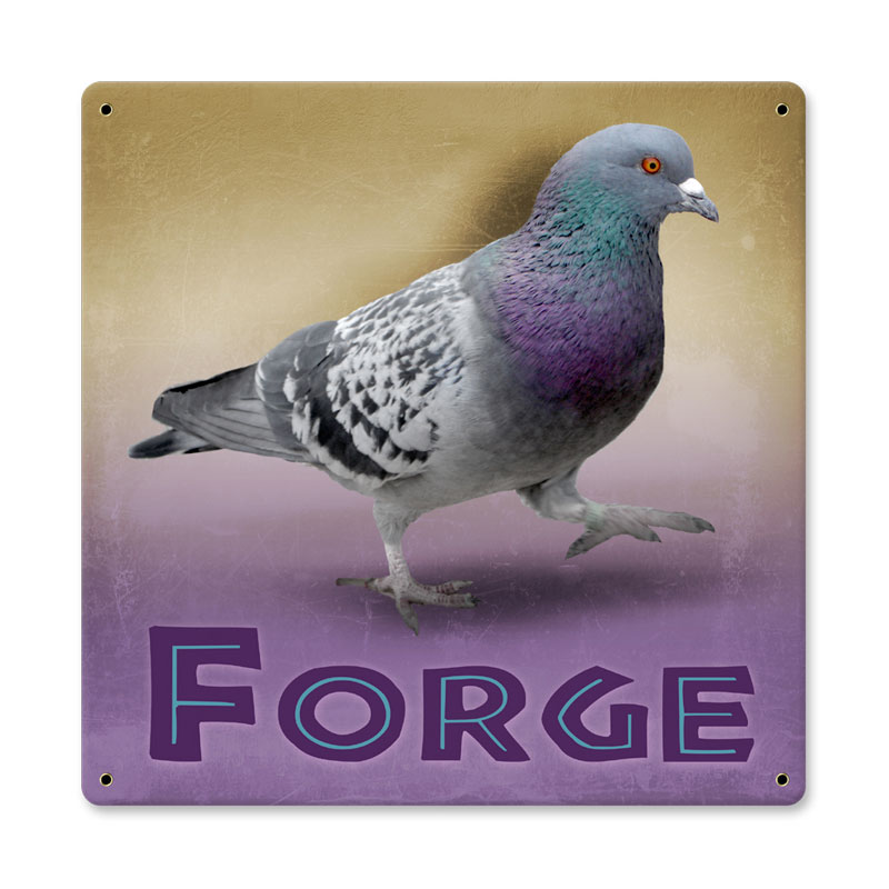 Pigeon Forge, Home and Garden, Metal Sign, 12 X 12 Inches