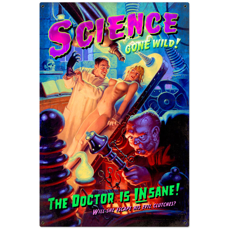 Science Gone Wild, Pinup Girls, Metal Sign, 24 X 36 Inches