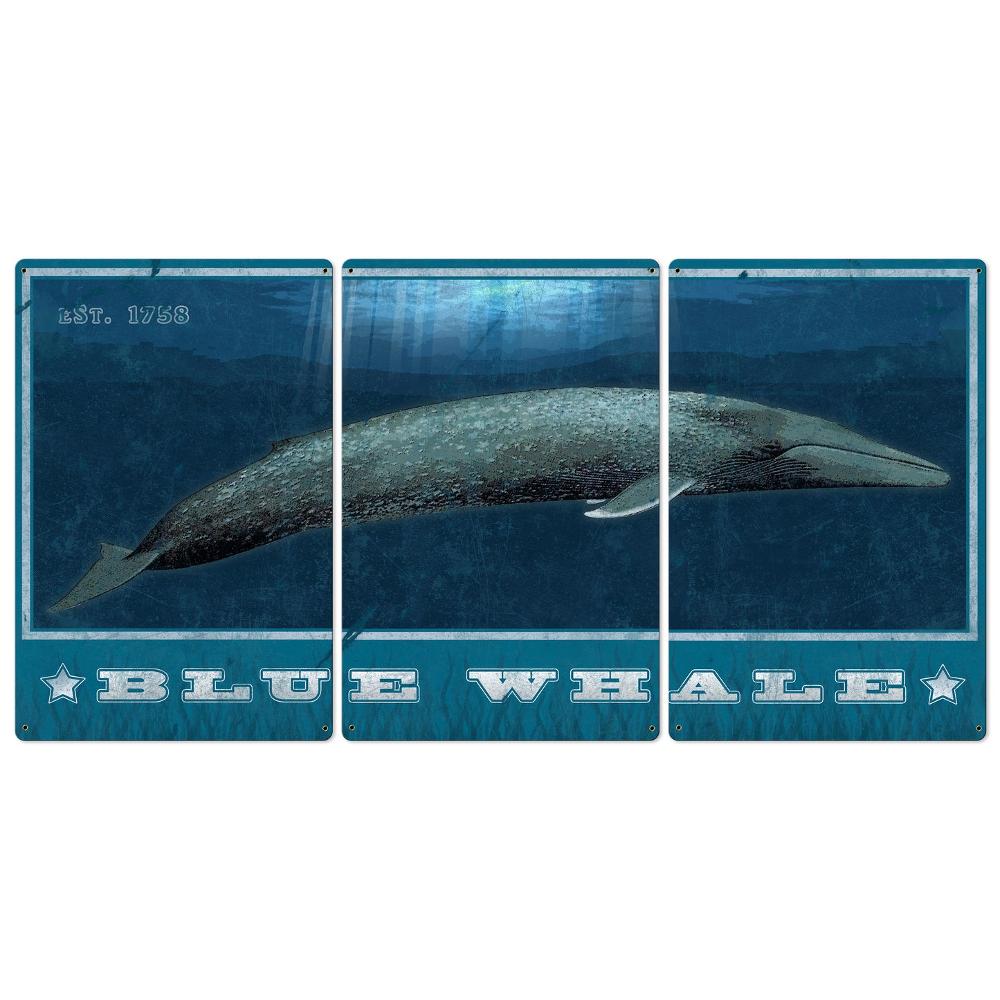 Blue Whale, METAL Triptych, Optional Rustic Wood Frame, Whale Watching, Wall Art, Ocean, Nautical