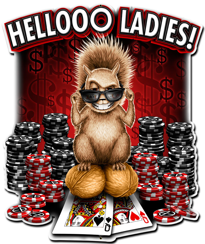 Hellooo Ladies Vintage Sign, Humor, Metal Sign, Wall Art, 15 X 18 Inches