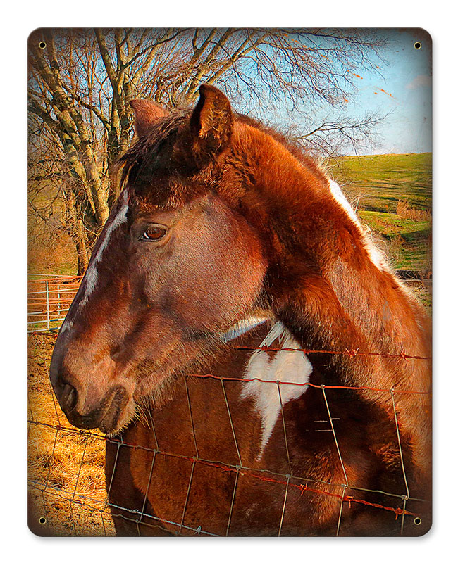 HORSE Vintage Sign, Home & Garden, Metal Sign, Wall Art, 12 X 15 Inches