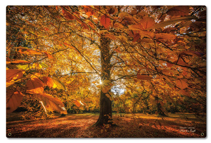 Autumn Scene2 Vintage Sign, Automotive, Metal Sign, Wall Art, 16 X 24 Inches