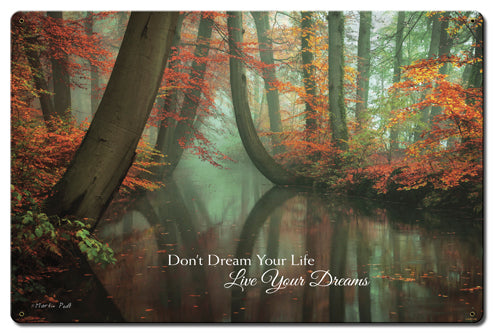 Live Your Dreams Vintage Sign, Automotive, Metal Sign, Wall Art, 24 X 16 Inches