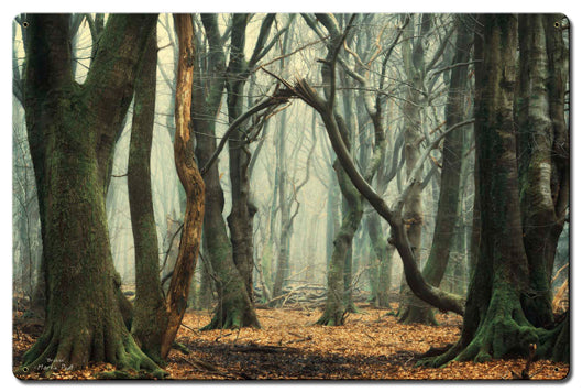 Trees In The Fog Vintage Sign, Automotive, Metal Sign 1, Wall Art, 24 X 16 Inches