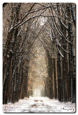 Path In The Snow Vintage Sign, Automotive, Metal Sign, Wall Art, 16 X 24 Inches
