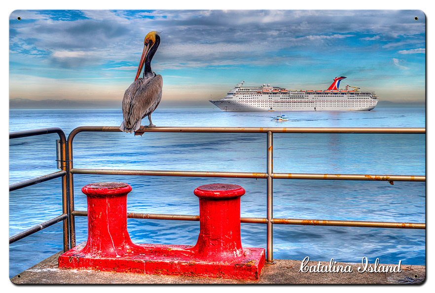 Pelican Catalina Island Satin Vintage Sign, Other, Metal Sign, Wall Art, 24 X 16 Inches