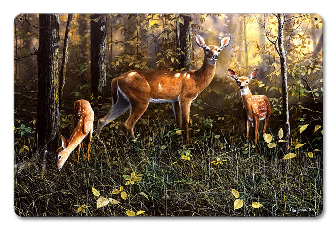 Emerald Forest, Featured Artists/Jim Hansel Art, Satin, 18 X 12 Inches