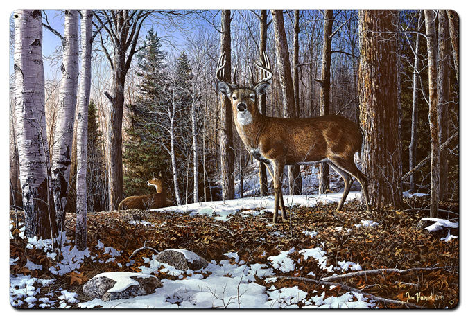 North Ridge Whitetails, Featured Artists/Jim Hansel Art, Satin, 24 X 36 Inches