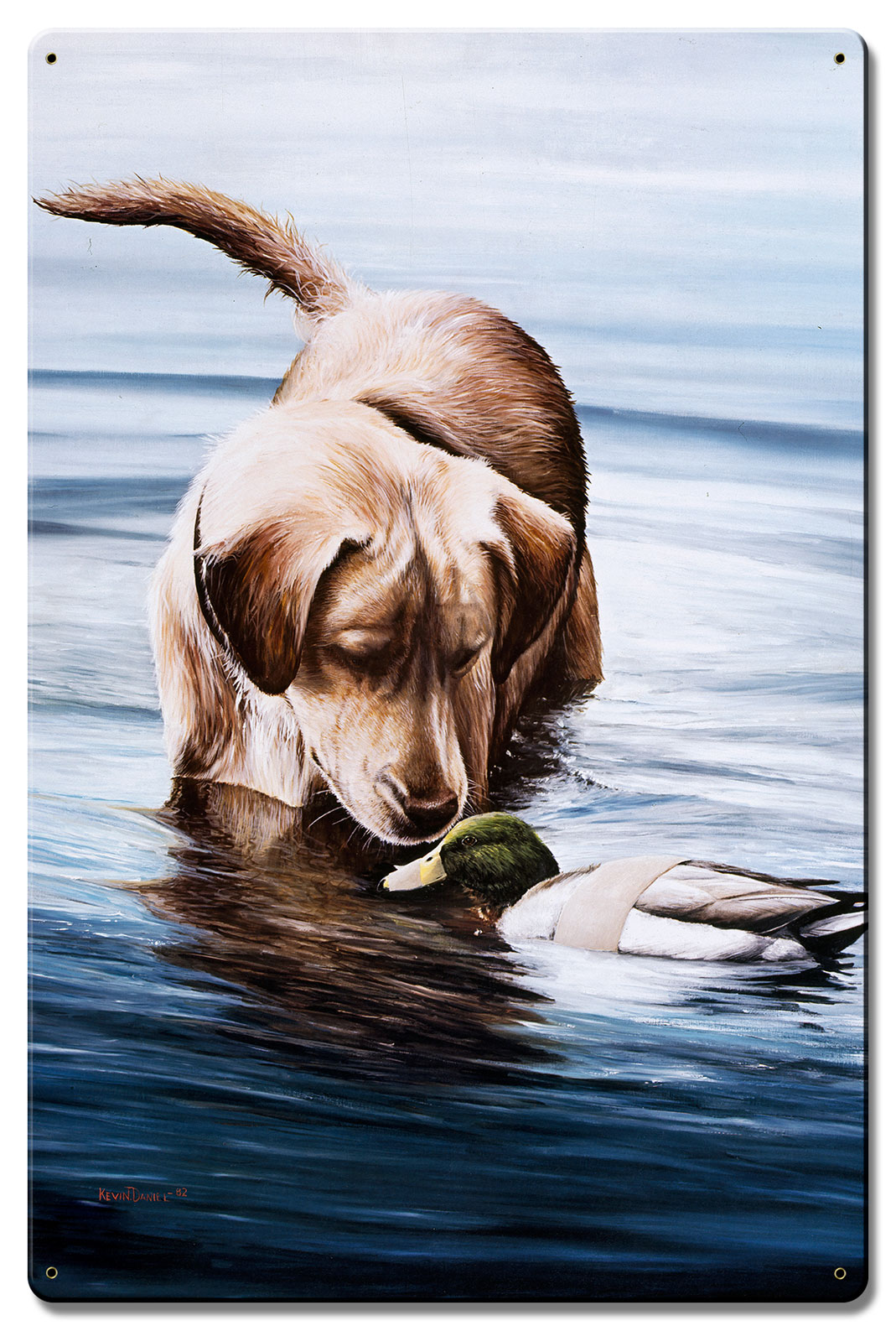 Bewildered, Featured Artists/Kevin Daniel Art, Satin, 16 X 24 Inches