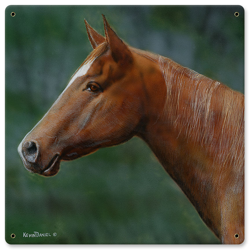 Quarter Horse, Featured Artists/Kevin Daniel Art, Satin, 12 X 12 Inches