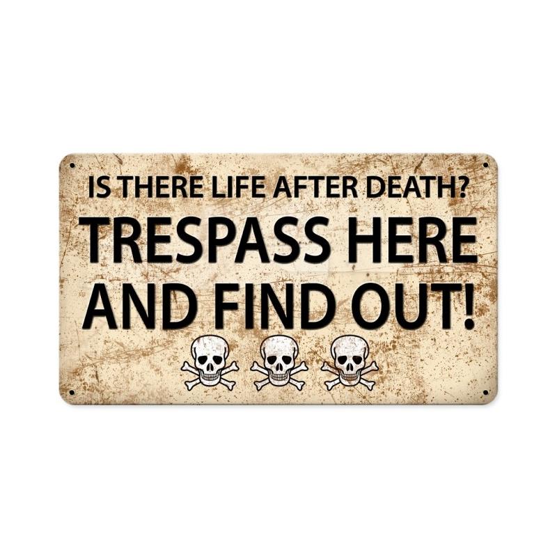 Is There Life Afer, Humor, Metal Sign, 14 X 8 Inches
