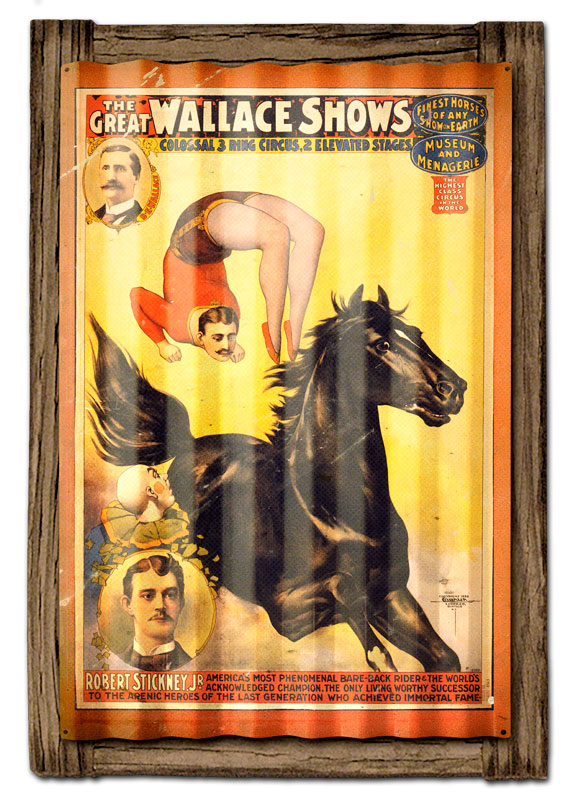CIRCUS BLACK HORSE, CORRUGATED, CORRUGATED, 24 X 21 Inches