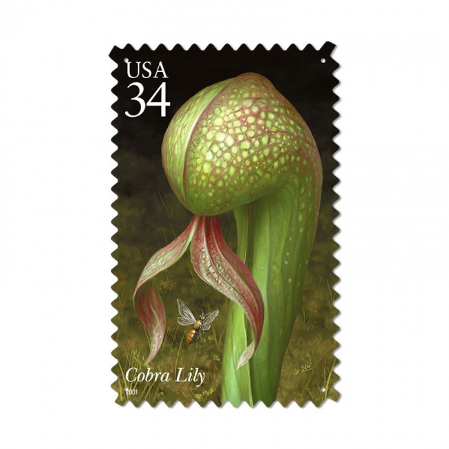 Cobra Carnivorous Plant, Home and Garden, Custom Metal Shape, 15 X 24 Inches