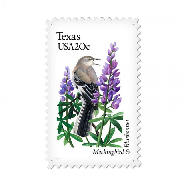 Texas Mockingbird, Home and Garden, Vintage Metal Sign, 15 X 24 Inches