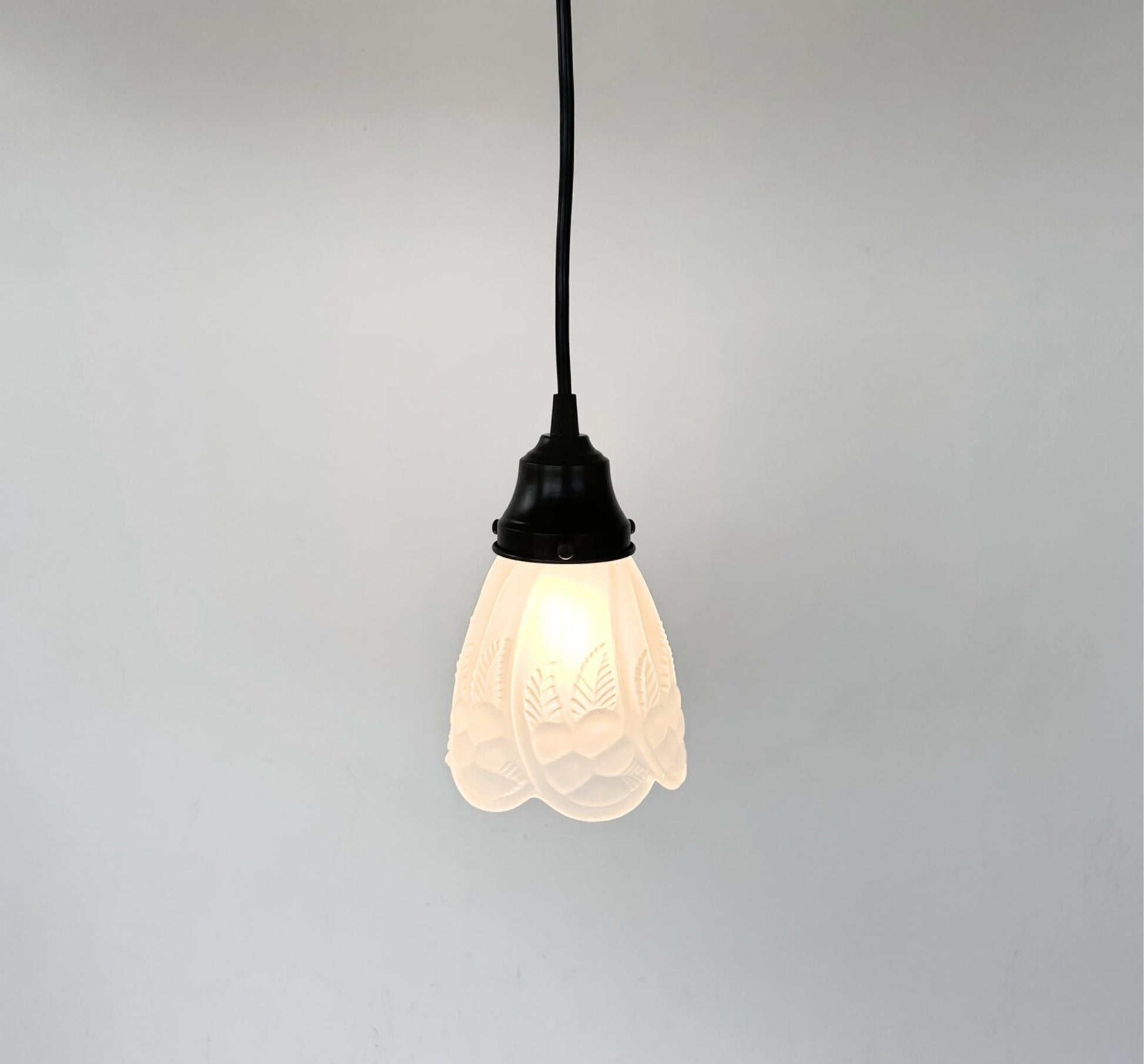 Frosted Embossed Fruit and Leaf Sconce or Pendant