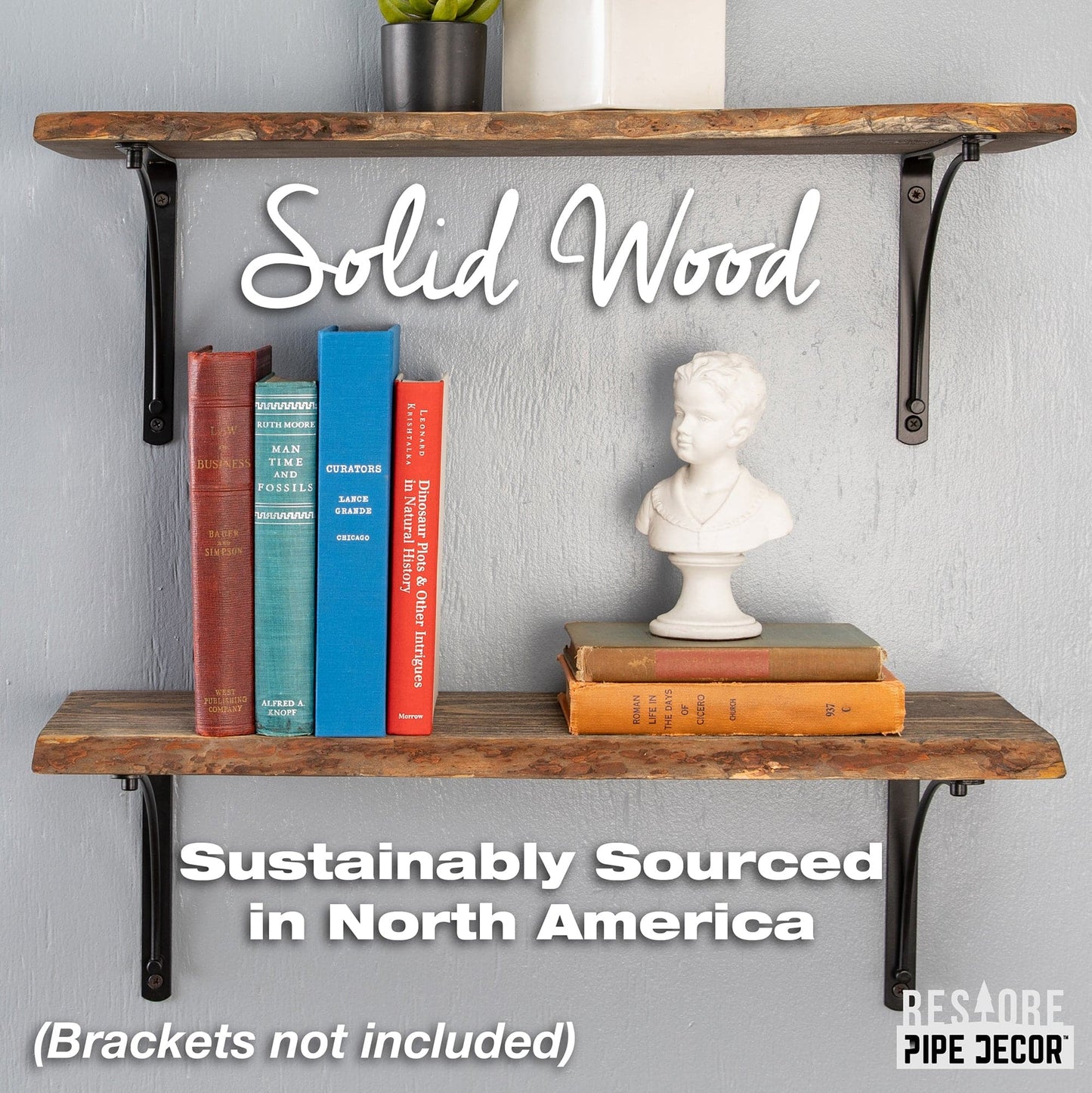 RESTORE Boulder Black 24 in. Live Edge Wood Shelf (Wood Only)