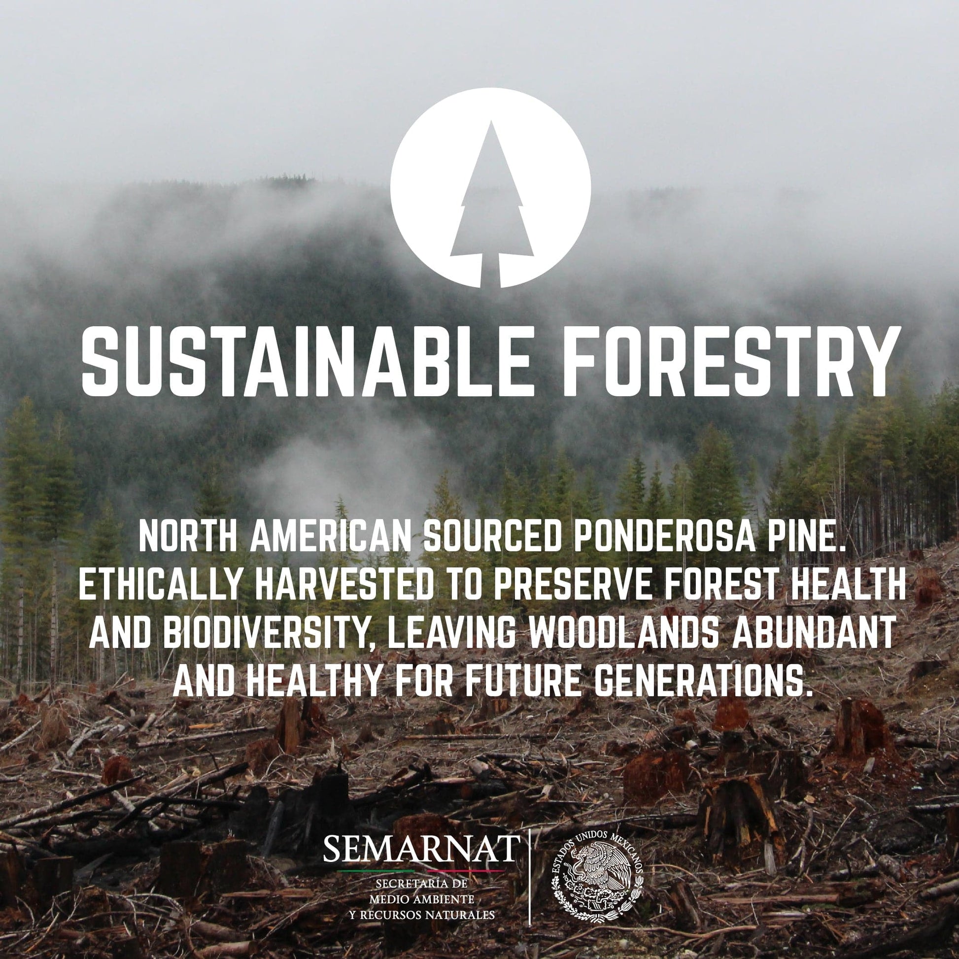 RESTORE Riverstone Grey Solid Live Edge Wood Accent Bench