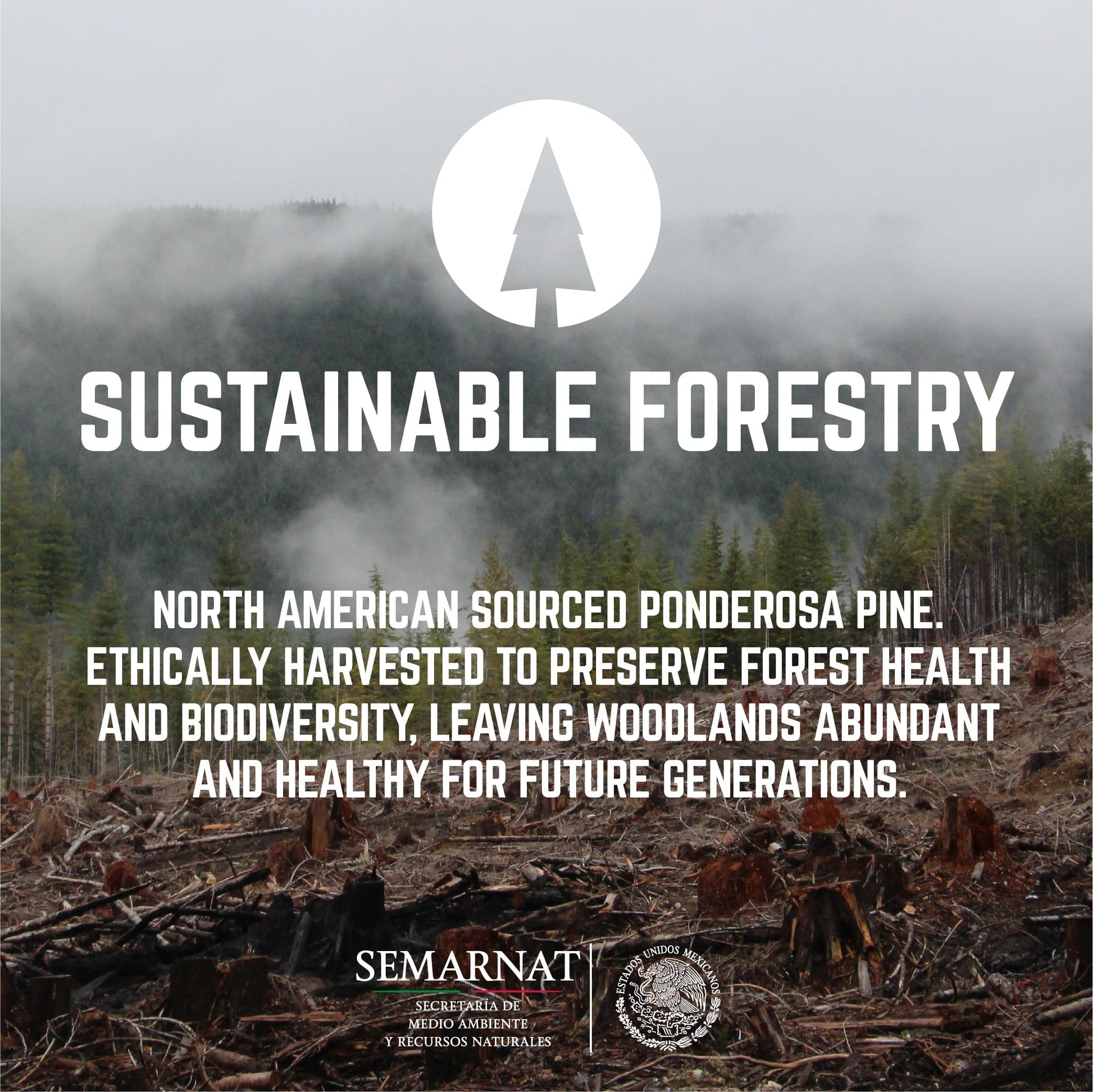 RESTORE Sunset Cedar Solid Wood Office Desk