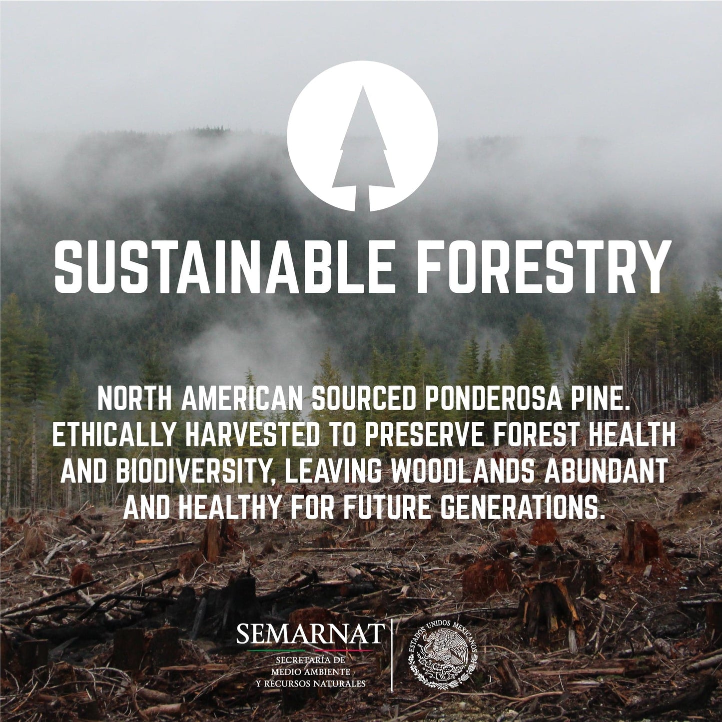 RESTORE Boulder Black Solid Live Edge Wood Console Table