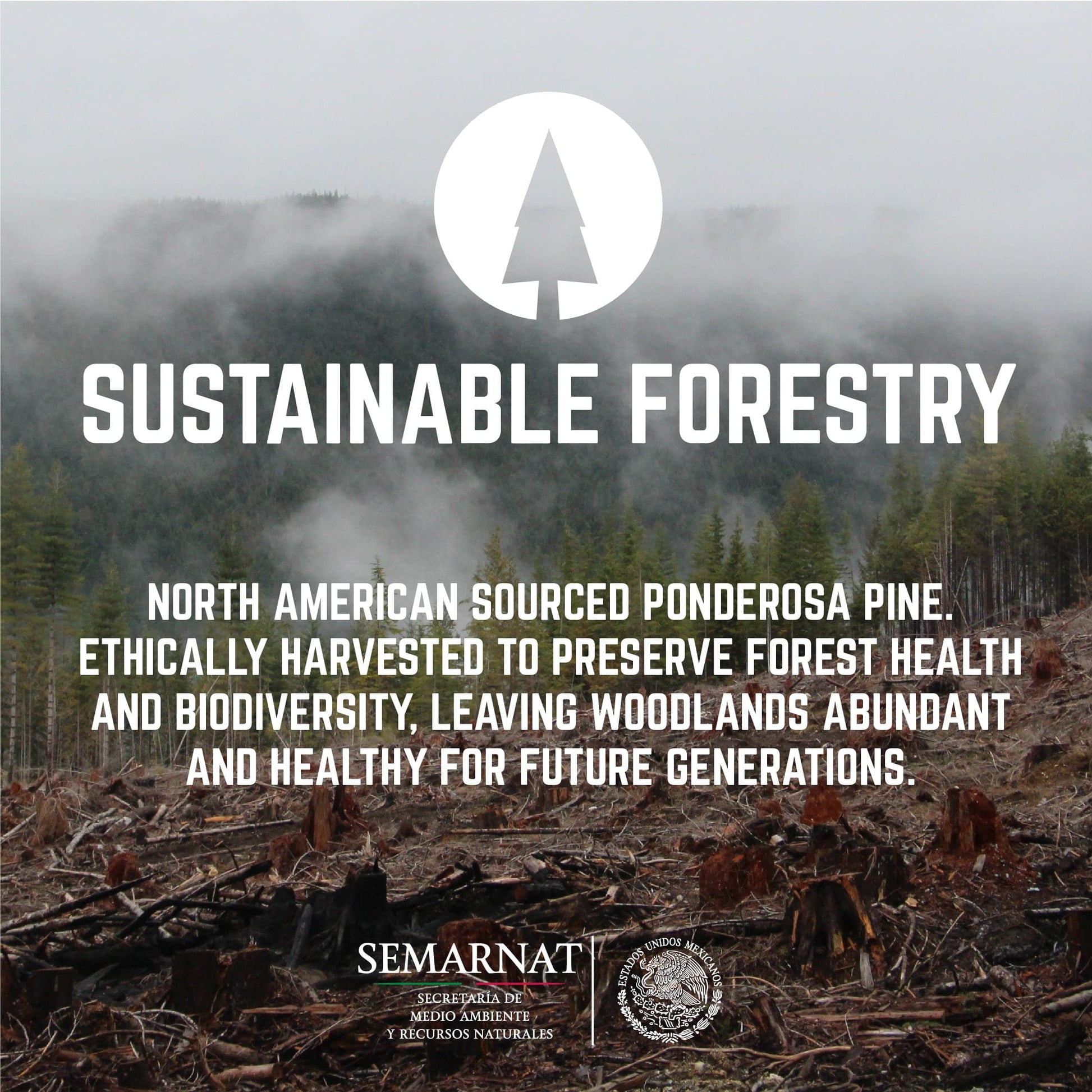 RESTORE Boulder Black Solid Live Edge Wood Console Table