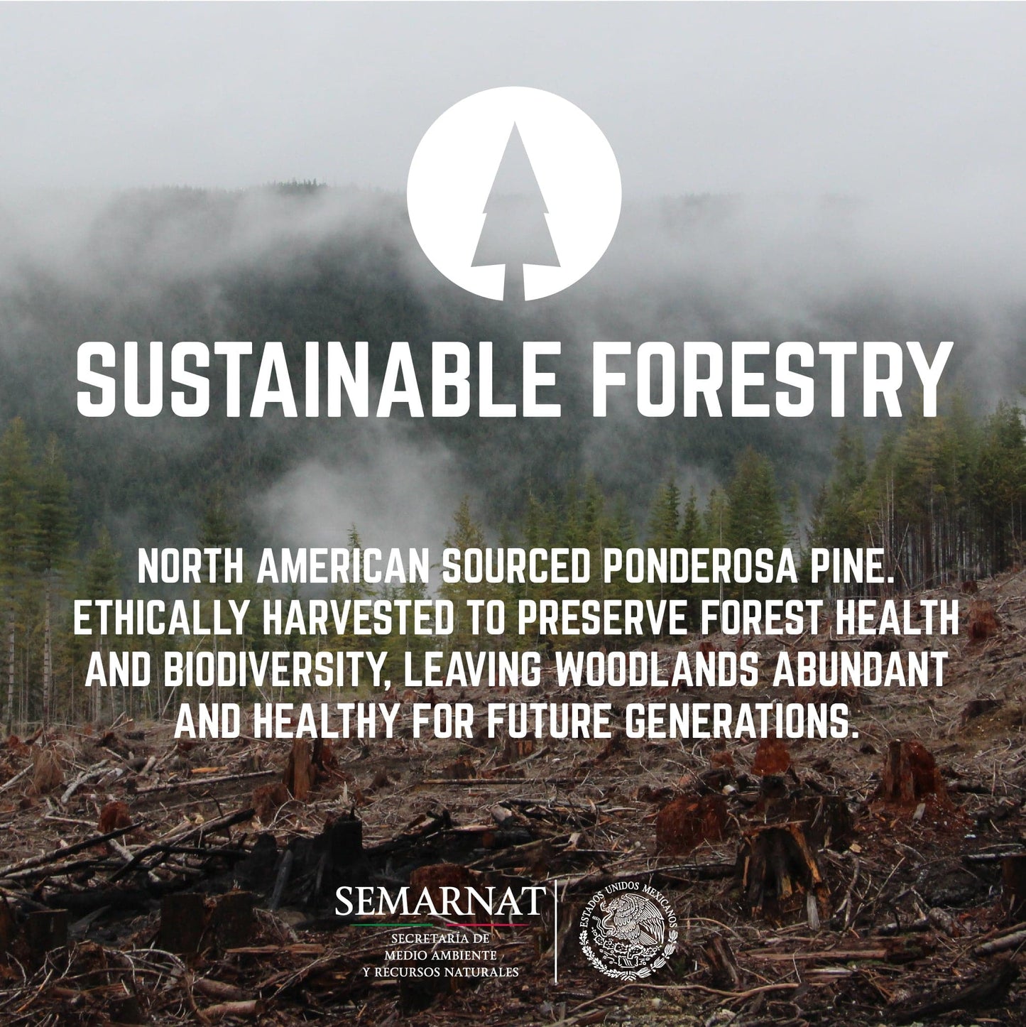 RESTORE Trail Brown Solid Live Edge Wood Console Table