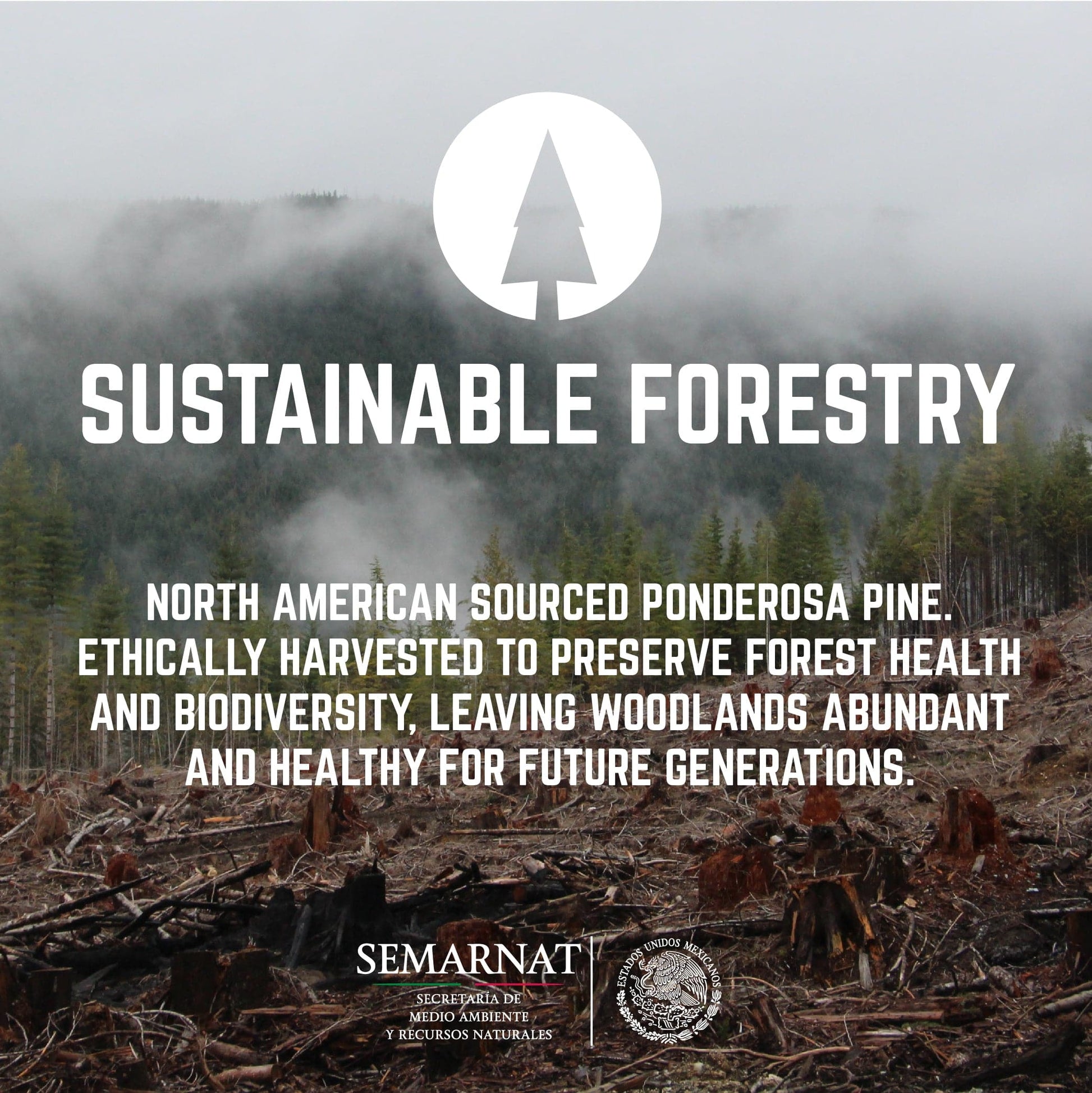 RESTORE Trail Brown Solid Live Edge Wood Console Table