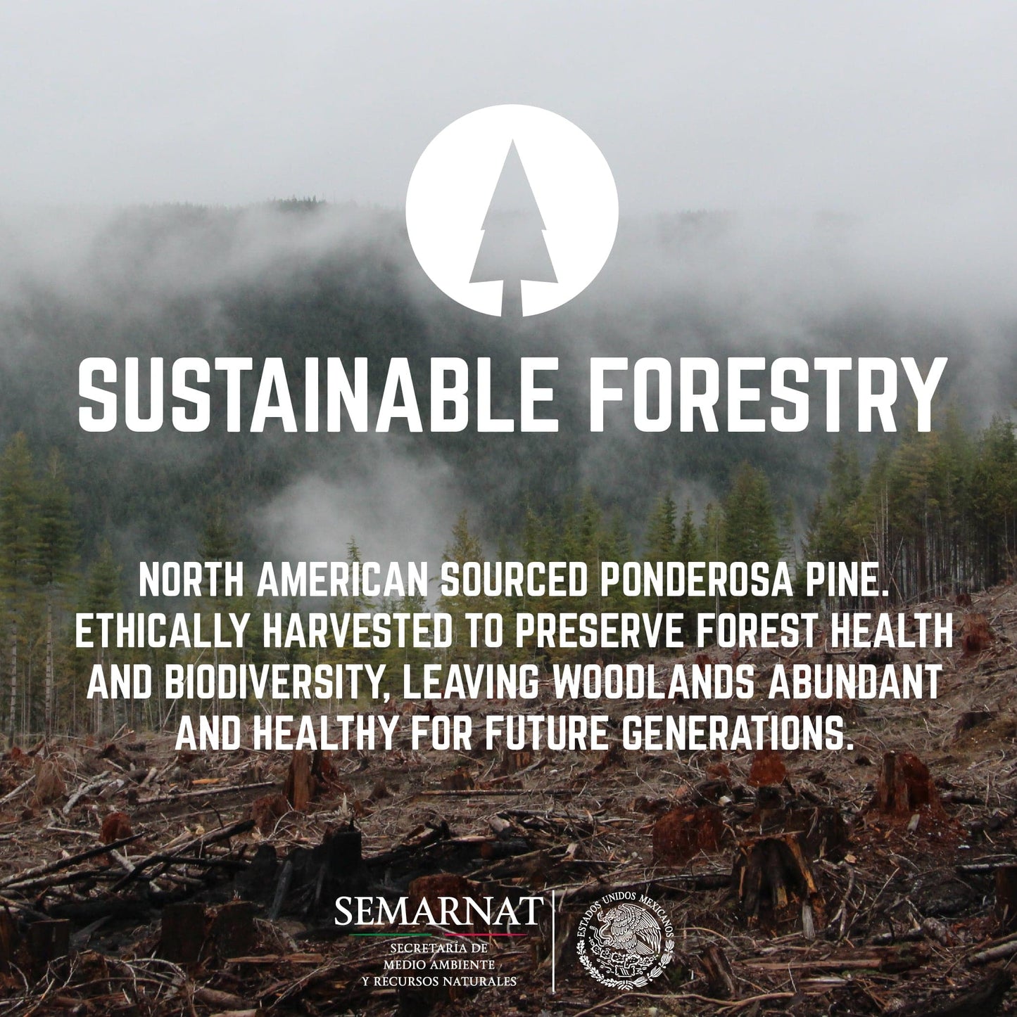 RESTORE Boulder Black Solid Wood End Table