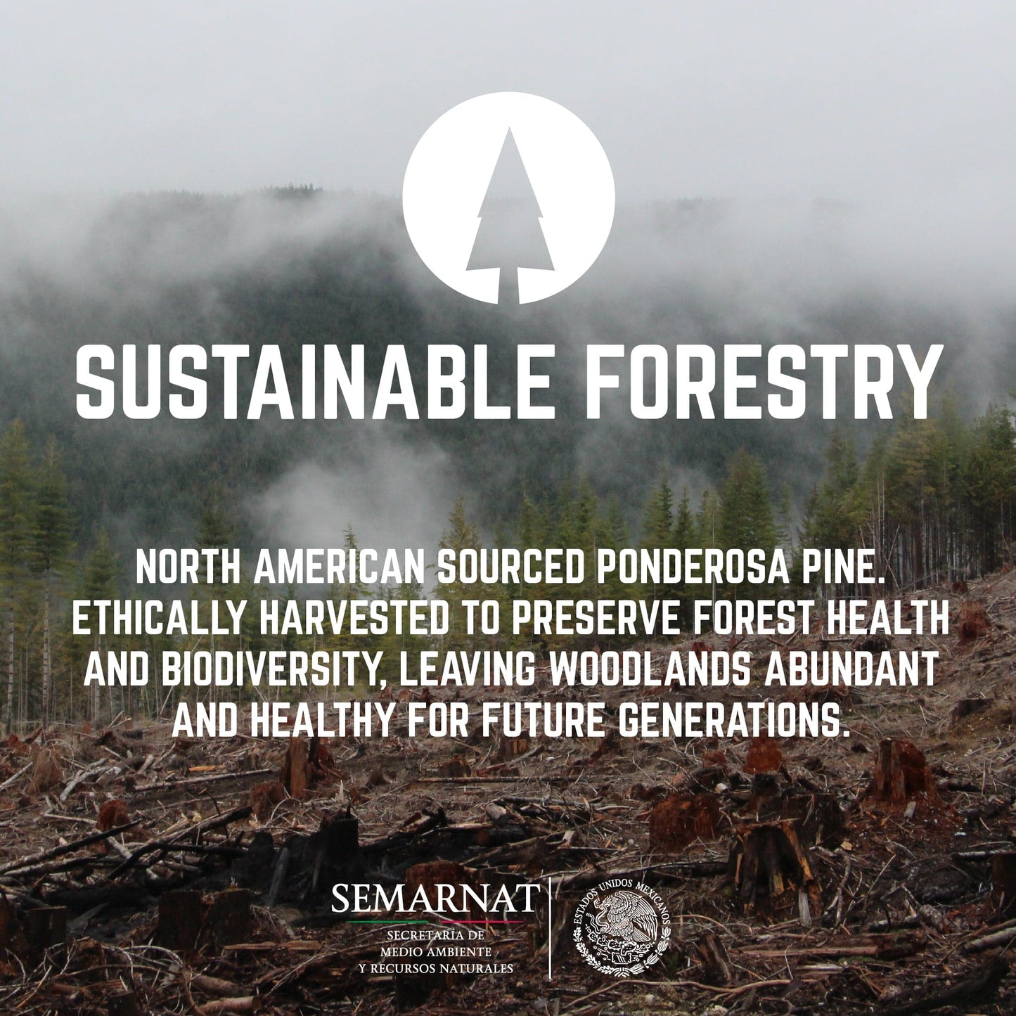 RESTORE Riverstone Grey Solid Wood Dining Table