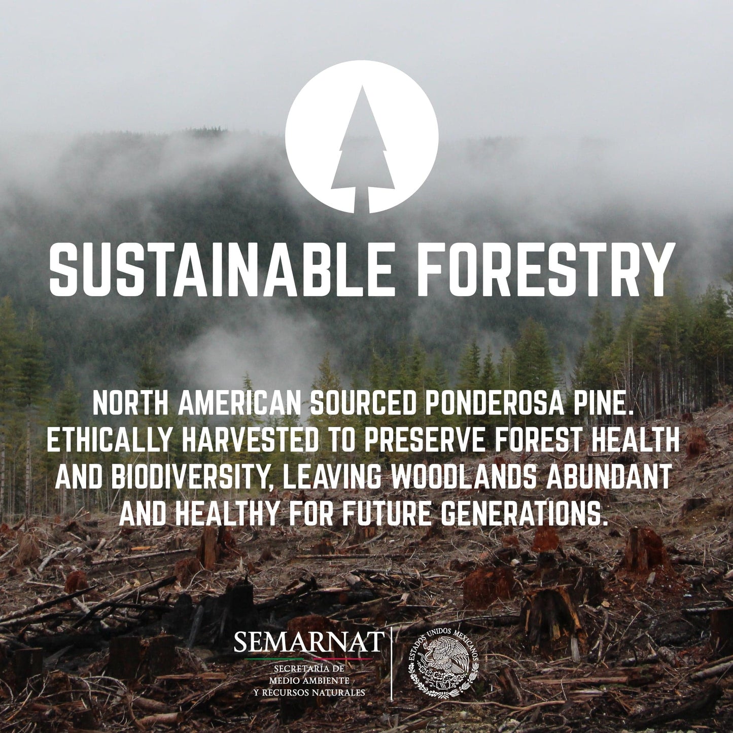 RESTORE Sunset Cedar Solid Wood Coffee Table