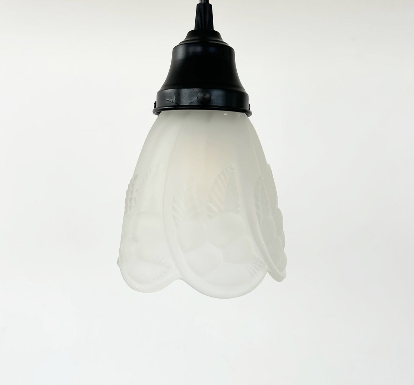 Frosted Embossed Fruit and Leaf Sconce or Pendant