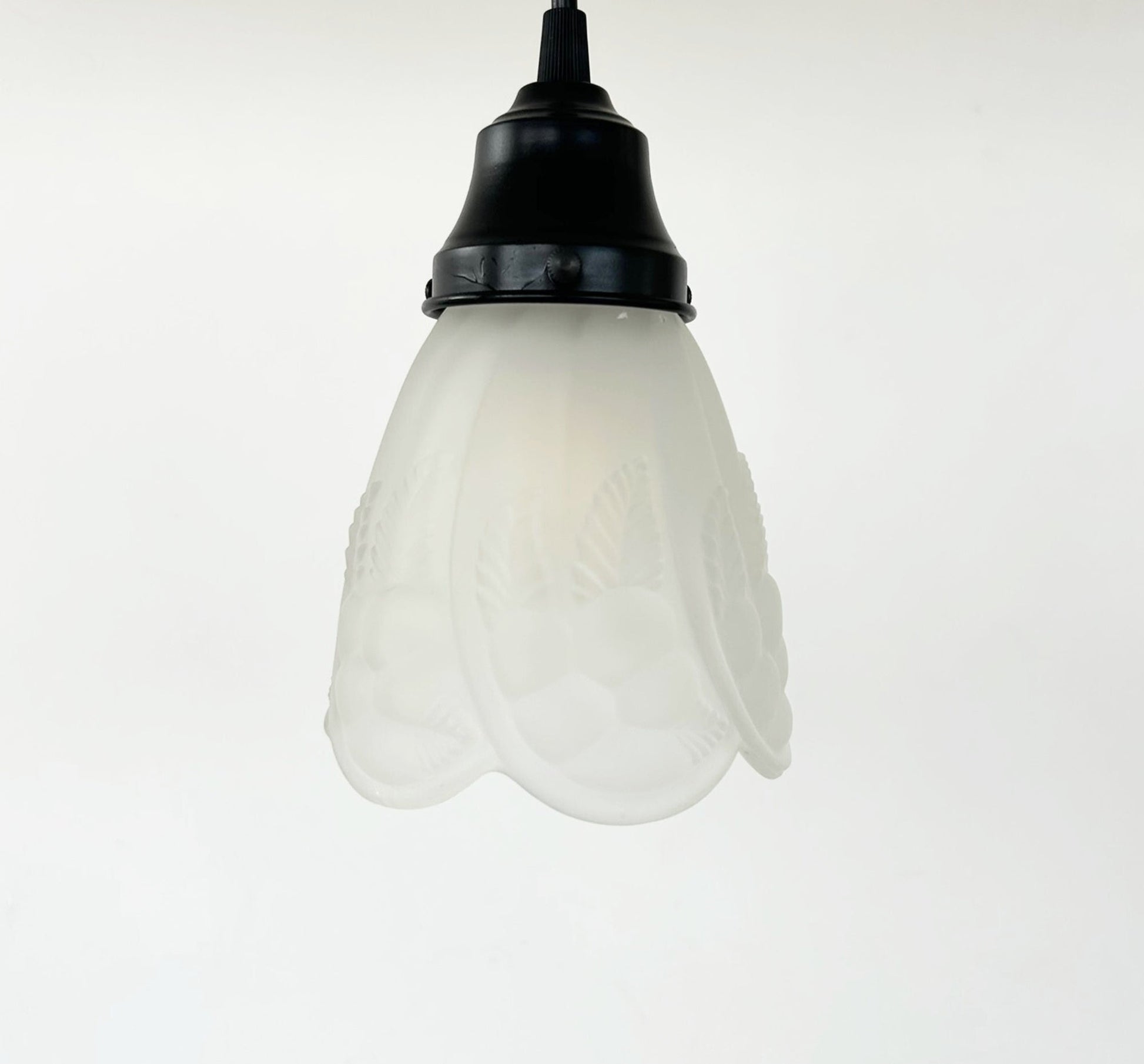 Frosted Embossed Fruit and Leaf Sconce or Pendant