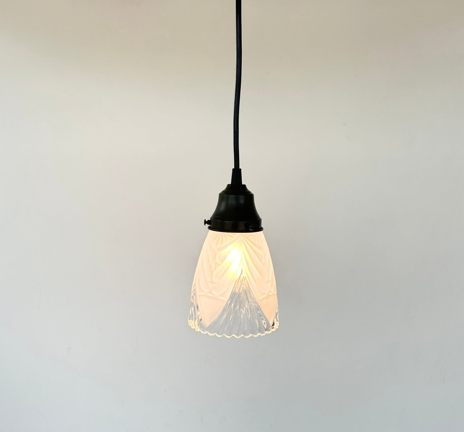 Clear And Frost Fan Ribbed Scallop Pendant Light/Wall Sconce