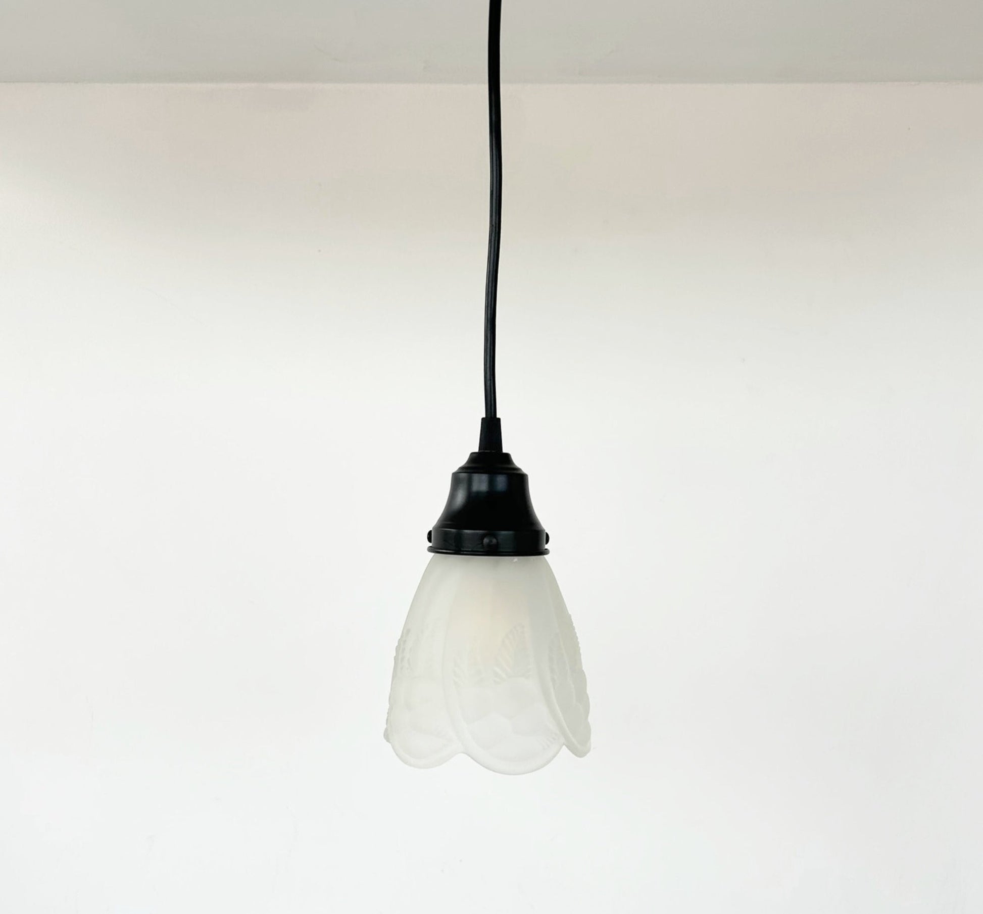 Frosted Embossed Fruit and Leaf Sconce or Pendant