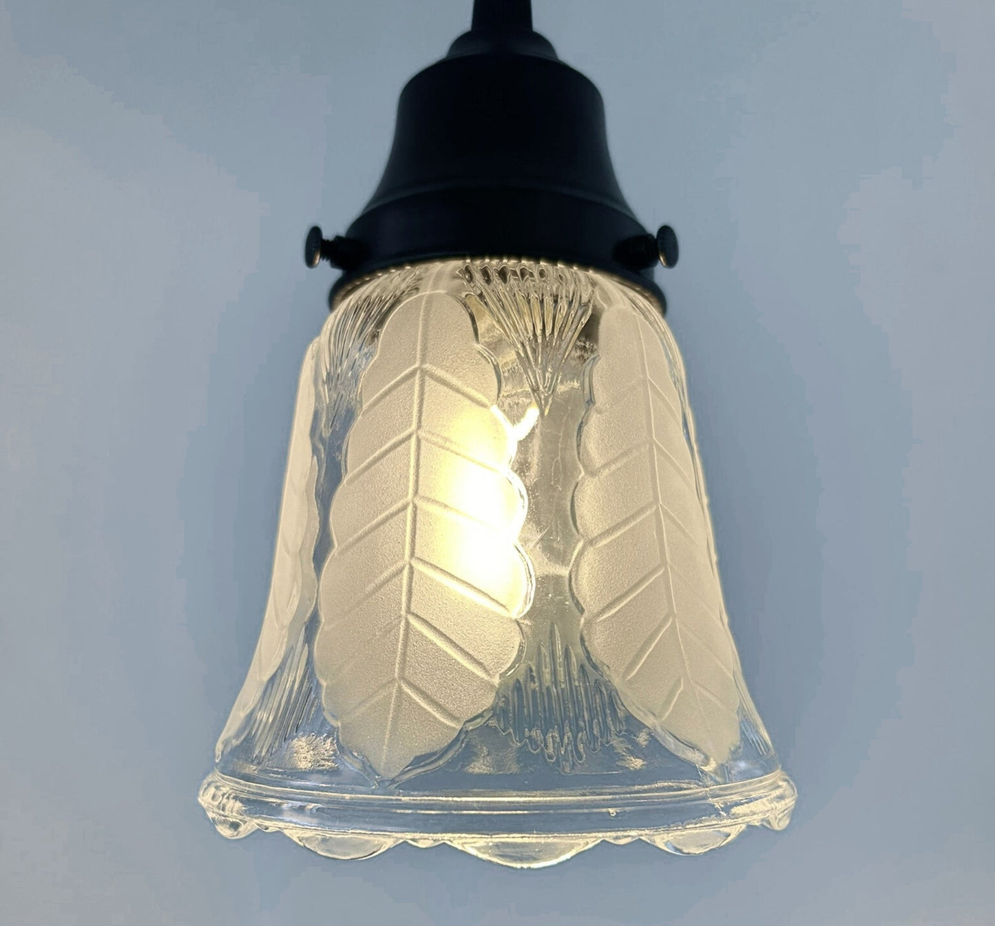 Frosted Leaf Embossed Clear Pendant Light