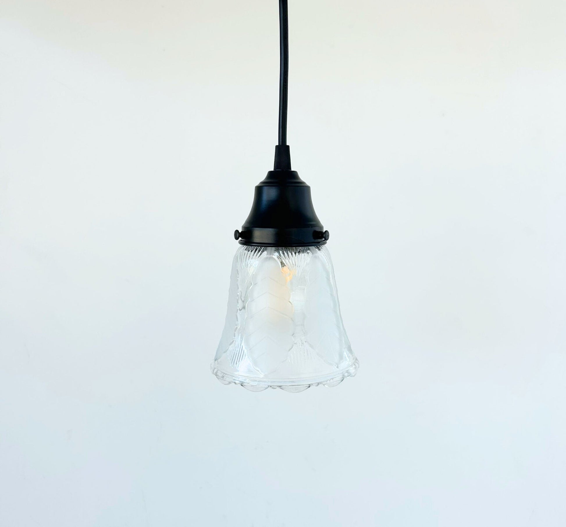 Frosted Leaf Embossed Clear Pendant Light