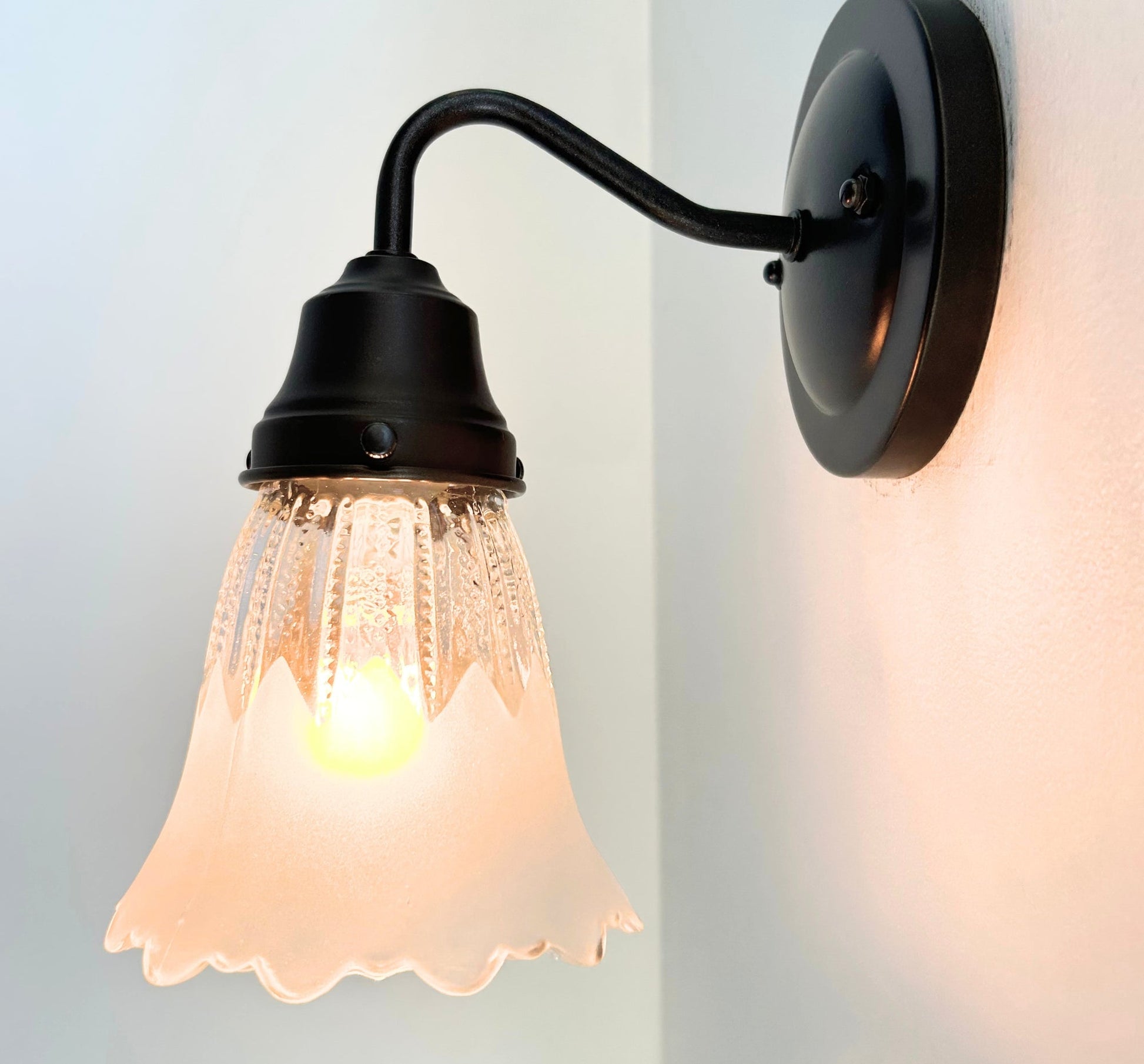 Scalloped Frost and Clear Delicate Hobnail Glass Wall Sconce