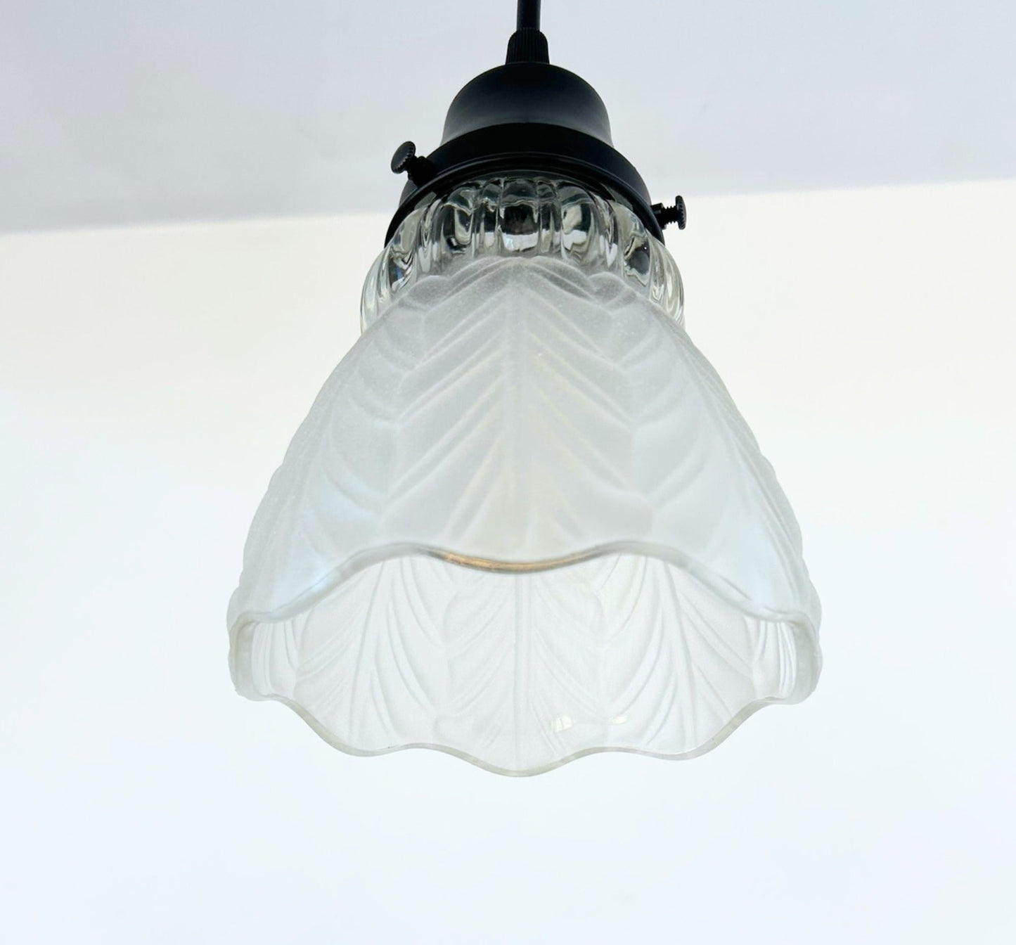 Frosted Leaf and Clear Ribbed Glass Pendant