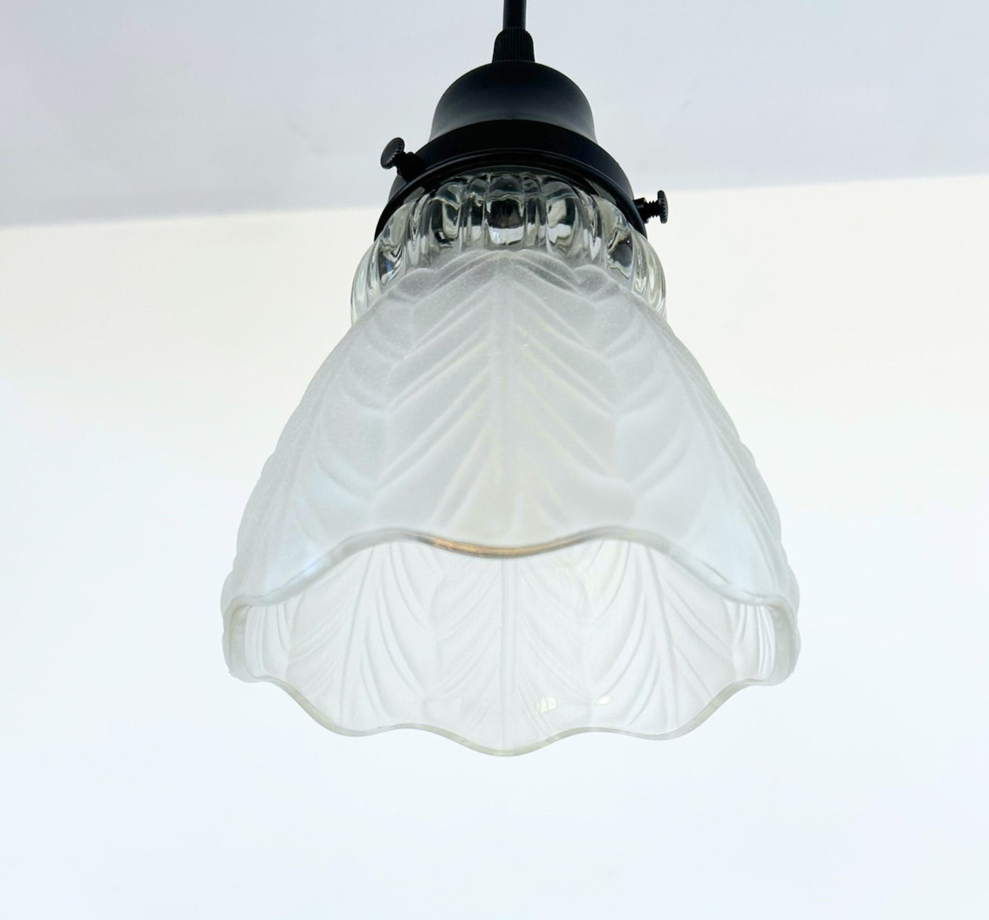 Frosted Leaf and Clear Ribbed Glass Pendant