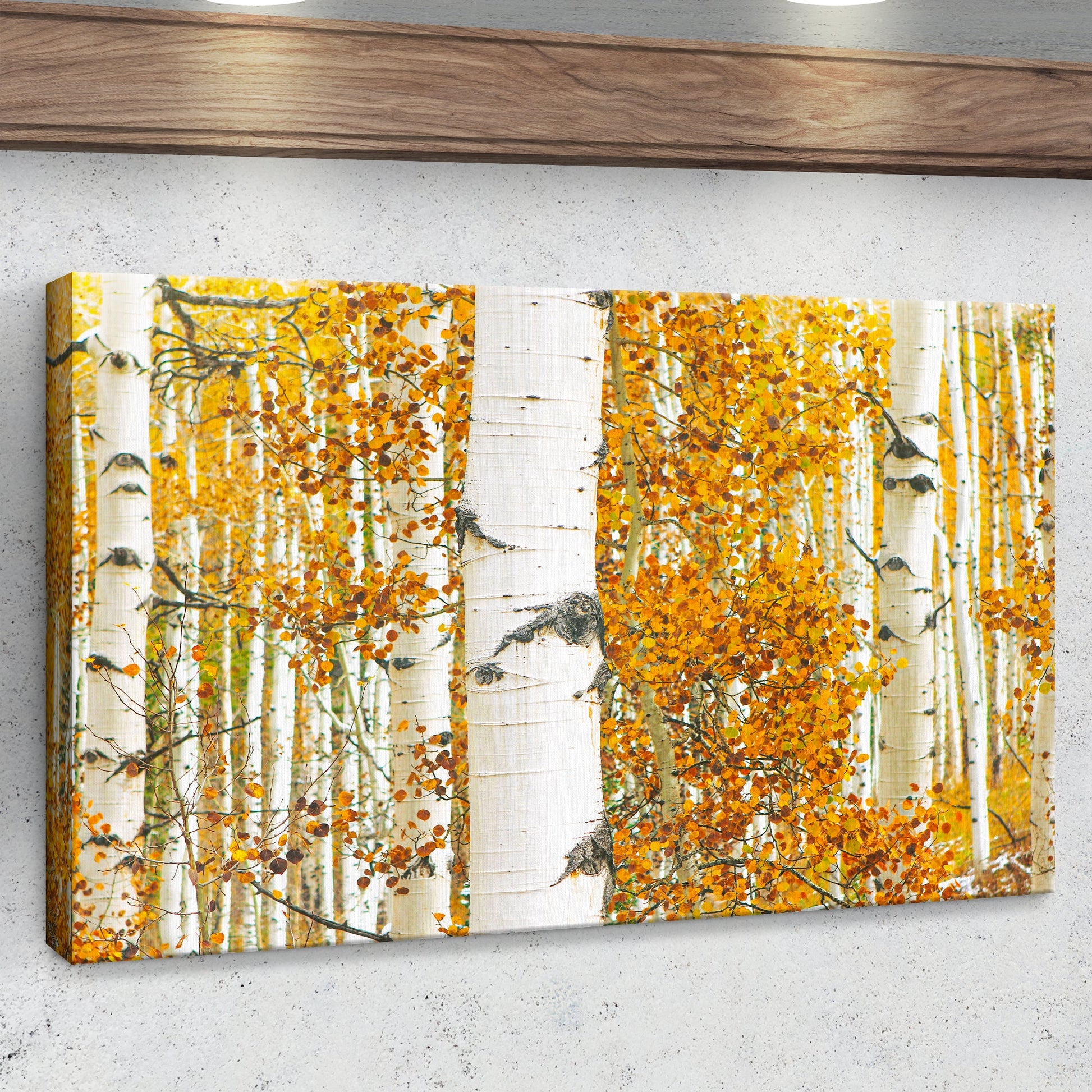 Autumn Tree Barks Canvas Wall Art