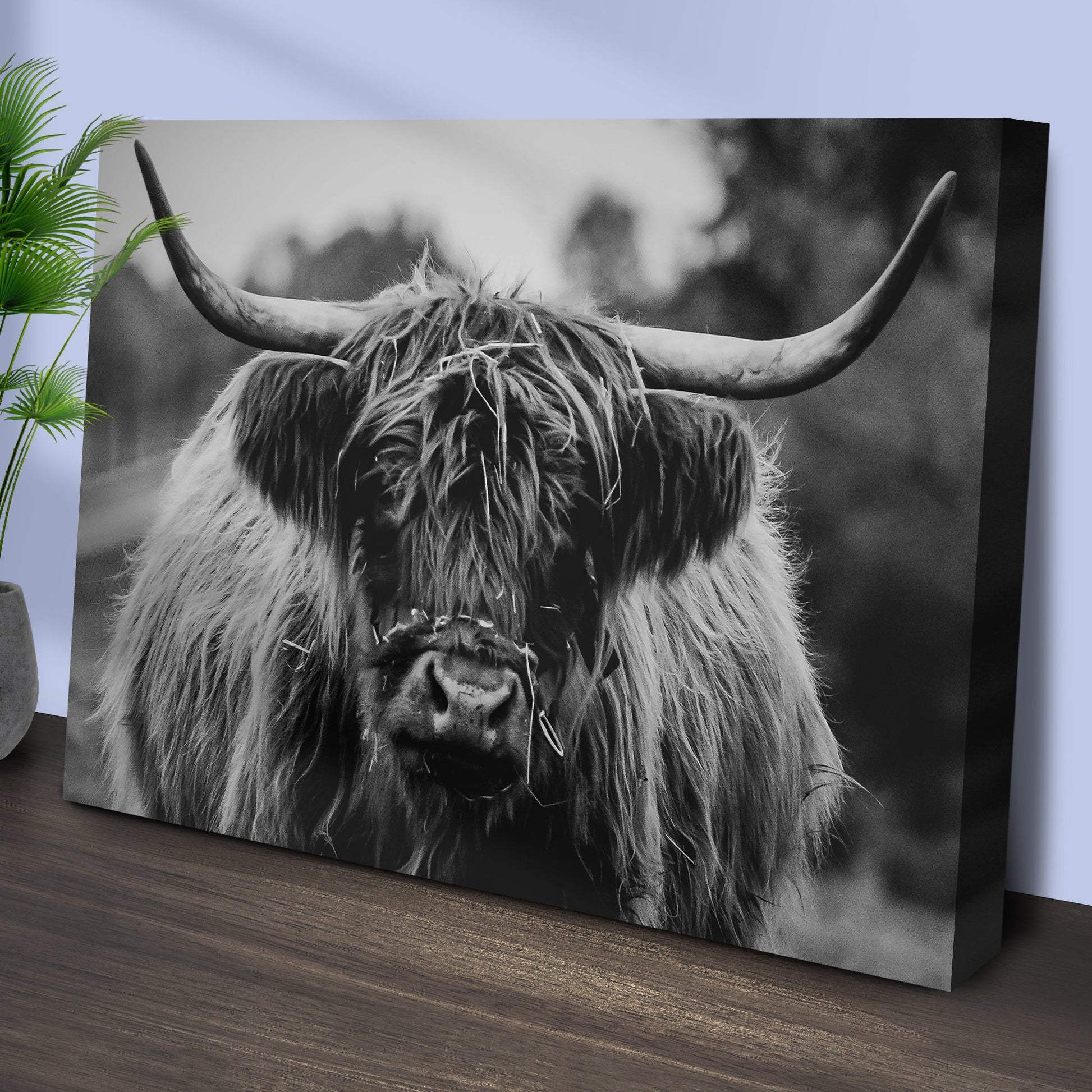 Highland Cow Rustic Gray Canvas Wall Art