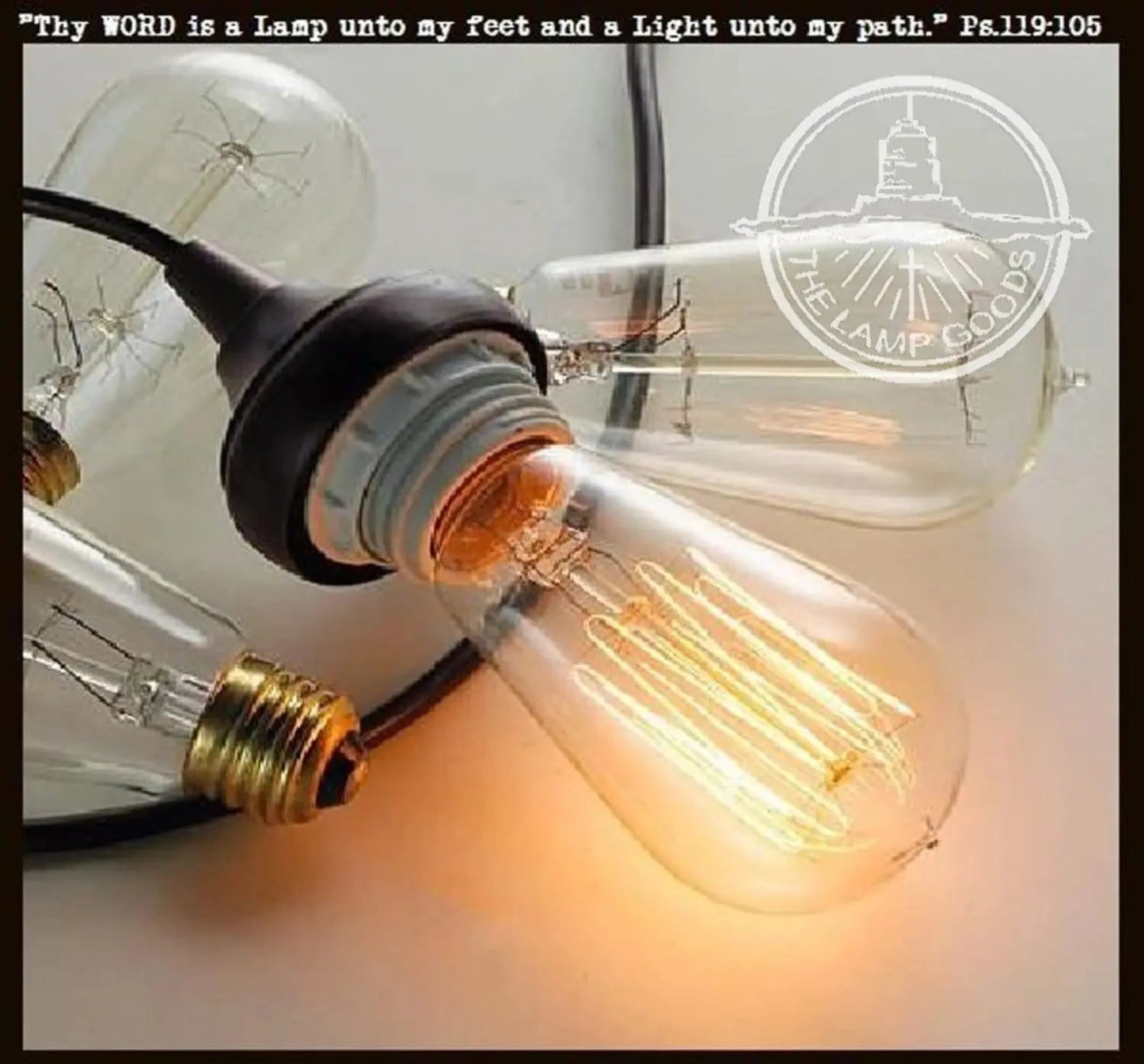 Edison Dimmable Bulb - 60 watts - Standard Base