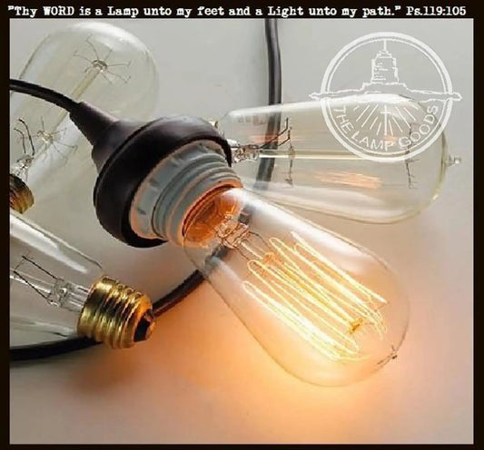 Edison Dimmable Bulb - 60 watts - Standard Base