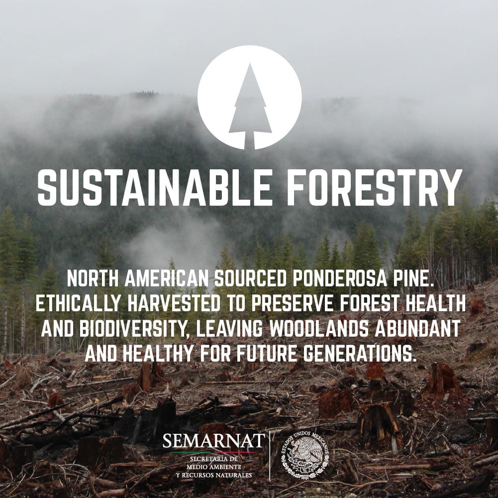 RESTORE Trail Brown Solid Wood Desk Tabletop