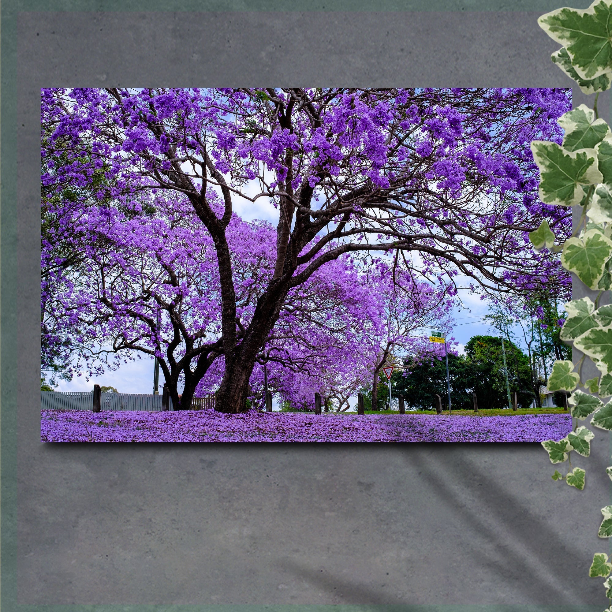 Jacaranda Trees Canvas Wall Art – Metal Sign Barn