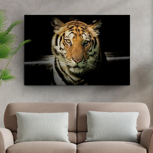 Lurking Tiger In The Dark Canvas Wall Art