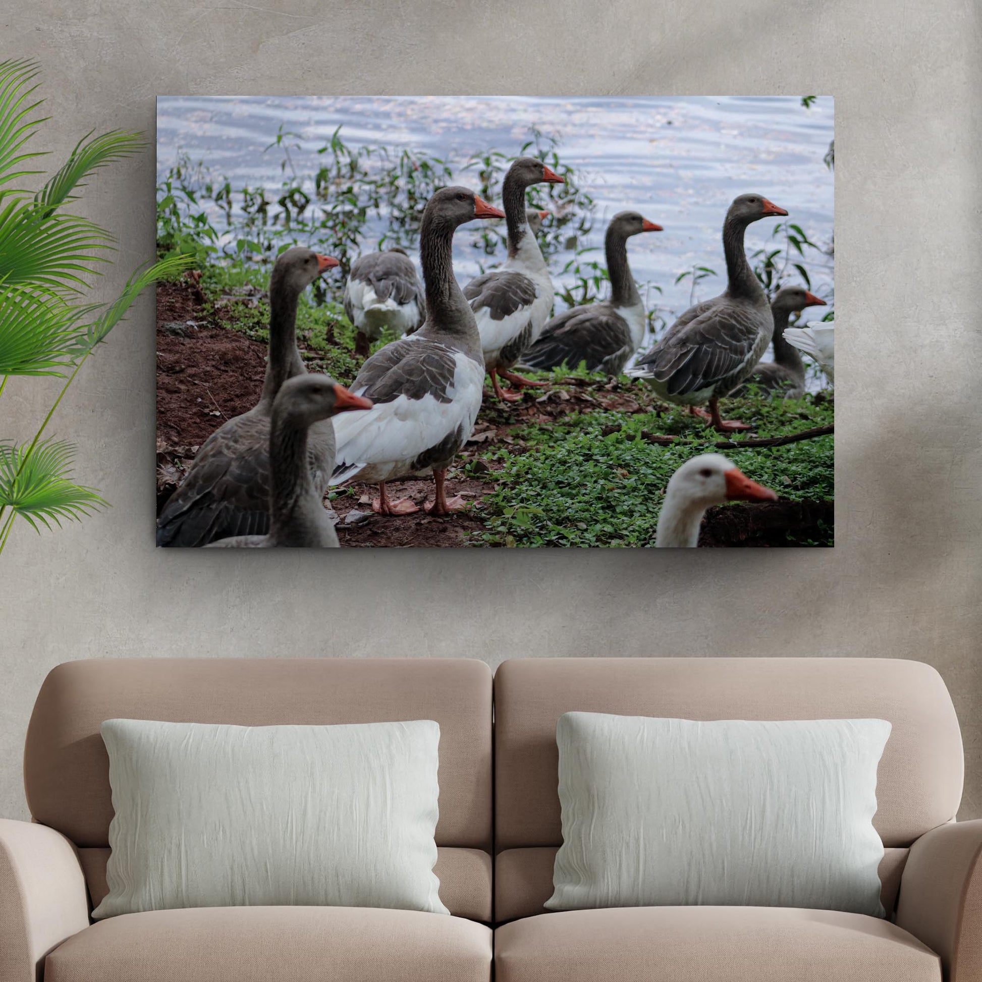 Flock Of Domestic Geese Canvas Wall Art
