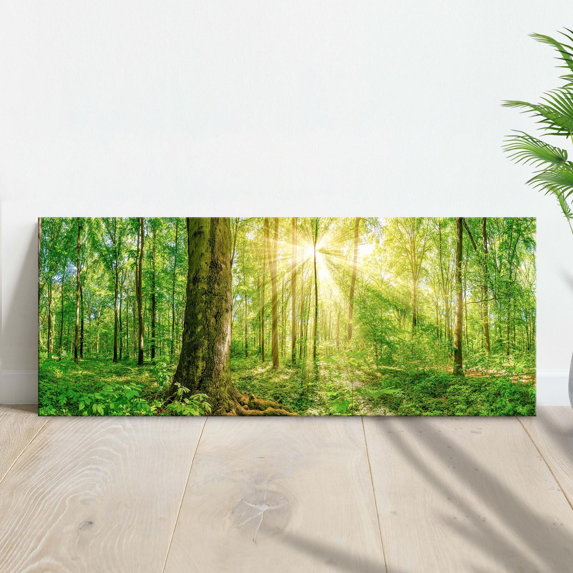 Golden Rays Into The Forest Canvas Wall Art